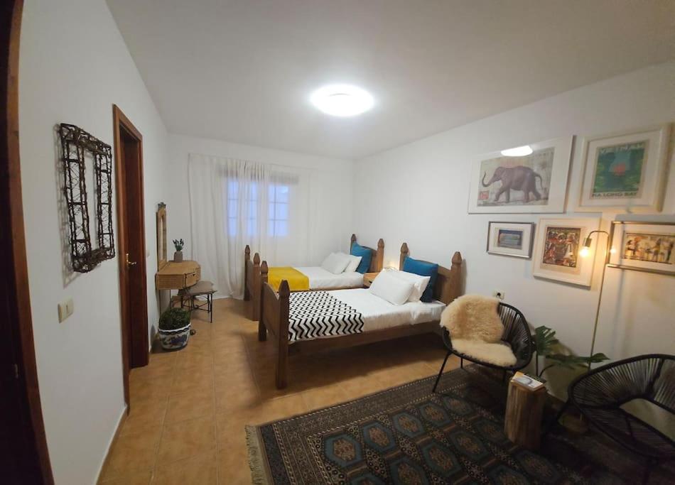 Paraiso Del Camello Parking Y Terrazs Privada 圣米格尔德阿沃纳 外观 照片